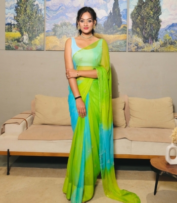 Multi Colour Chiffon Saree