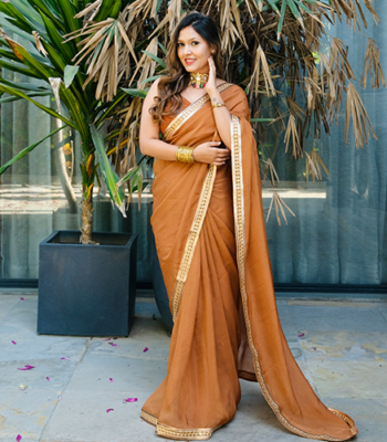 Classic Brown Saree